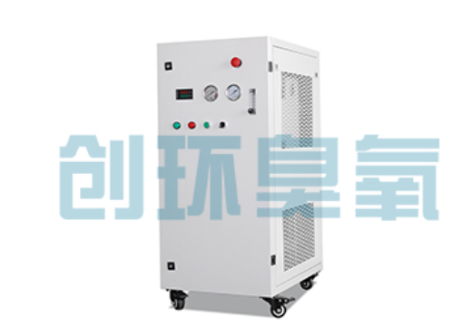 阿克苏石斑鱼养殖水质调控完整指南：臭氧发生器配置与操作步骤